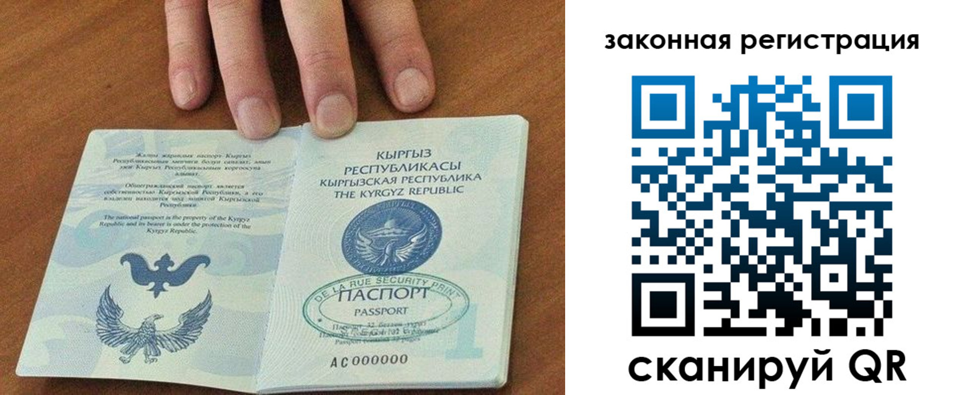 прописка гарантия в Новосибирской области
