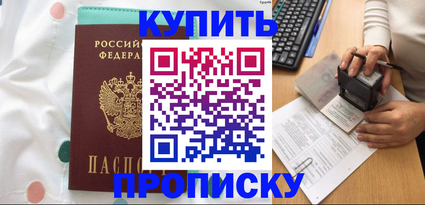 прописка в квартире в Новосибирской области